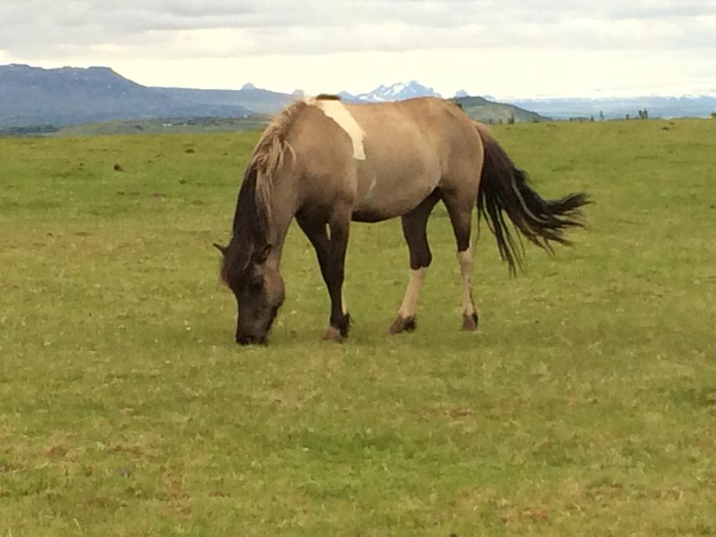 Laugaras Villa - South Iceland מראה חיצוני תמונה